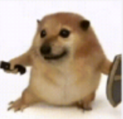 千娇直播