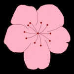 WWW,se684·COM网站APP